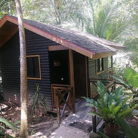 Casa El Colibri Bed and Breakfast Parrita Δωμάτιο φωτογραφία
