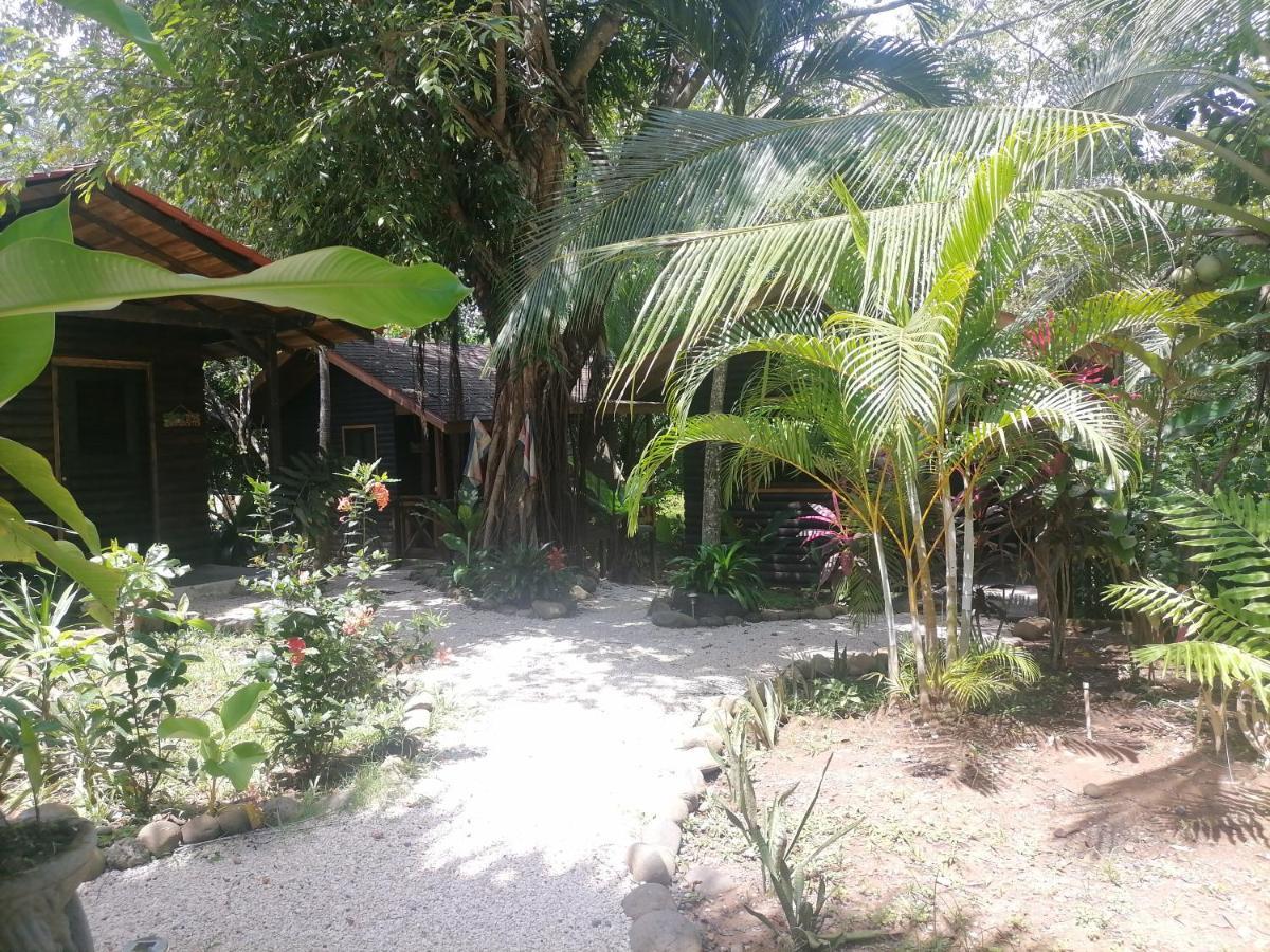 Casa El Colibri Bed and Breakfast Parrita Εξωτερικό φωτογραφία