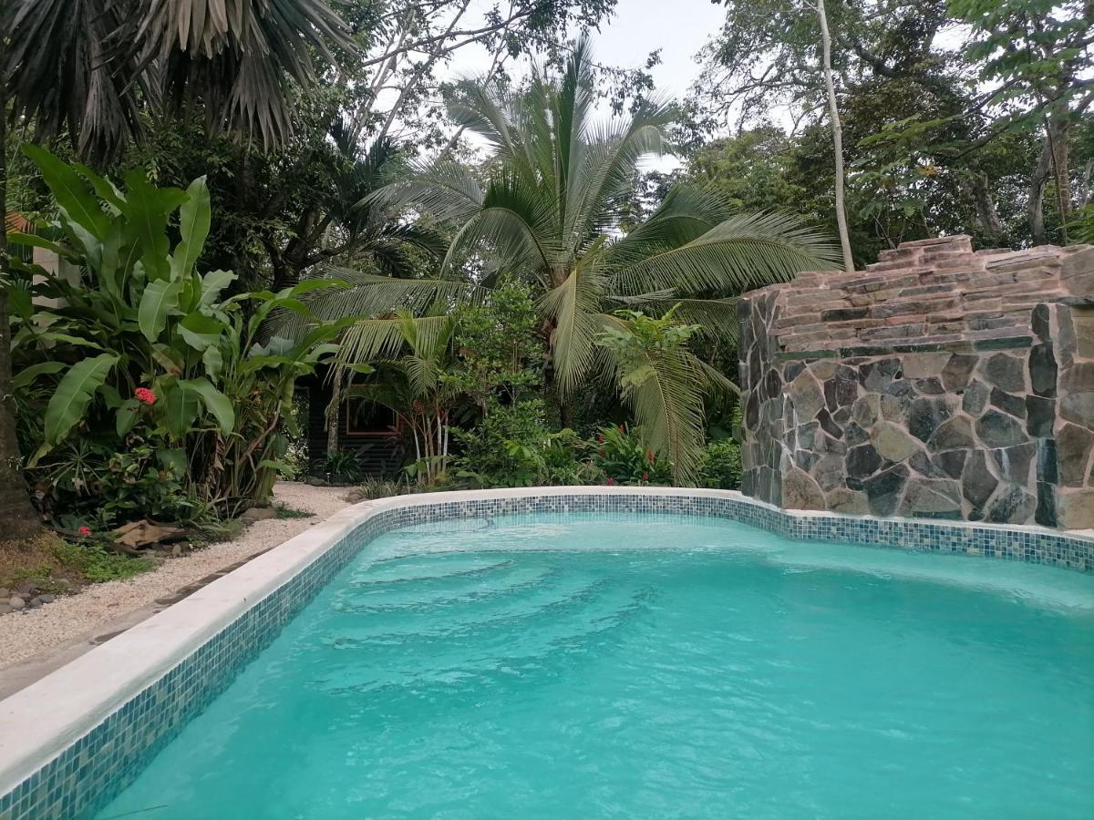 Casa El Colibri Bed and Breakfast Parrita Εξωτερικό φωτογραφία