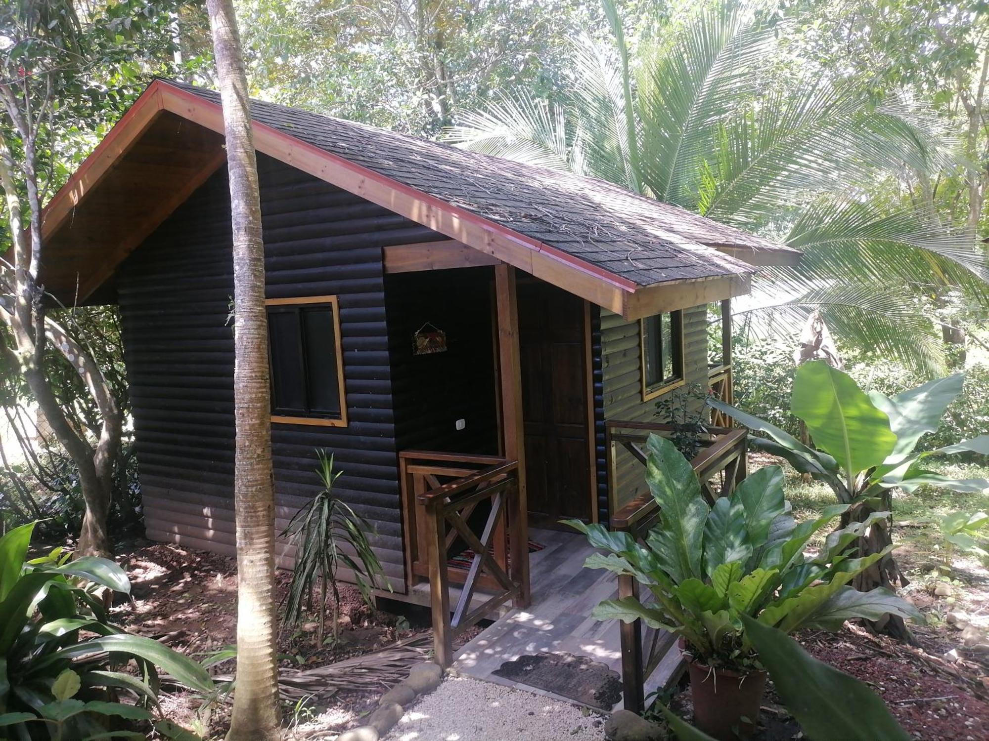 Casa El Colibri Bed and Breakfast Parrita Δωμάτιο φωτογραφία