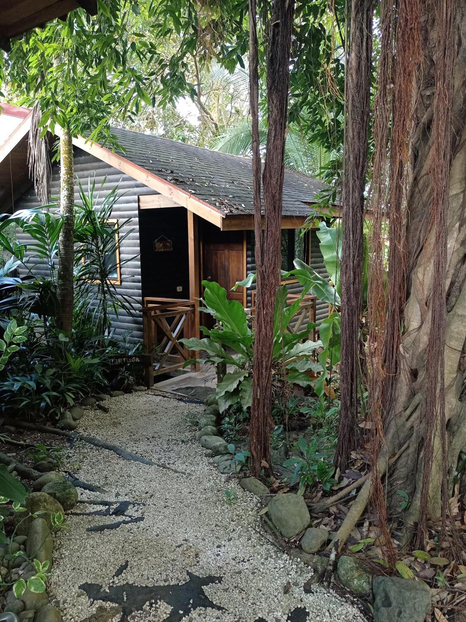 Casa El Colibri Bed and Breakfast Parrita Εξωτερικό φωτογραφία